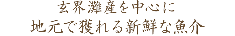 玄界灘産を中心に